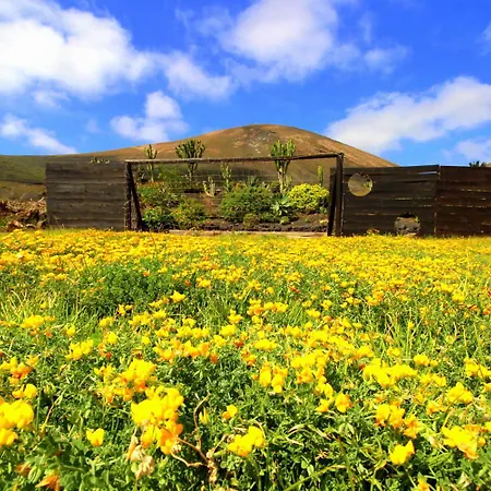 Cora - Beheizter Pool, Sauna, Traumhafter Meerblick, Billiard, Tischtennis, Sehr Ruhig * Tías